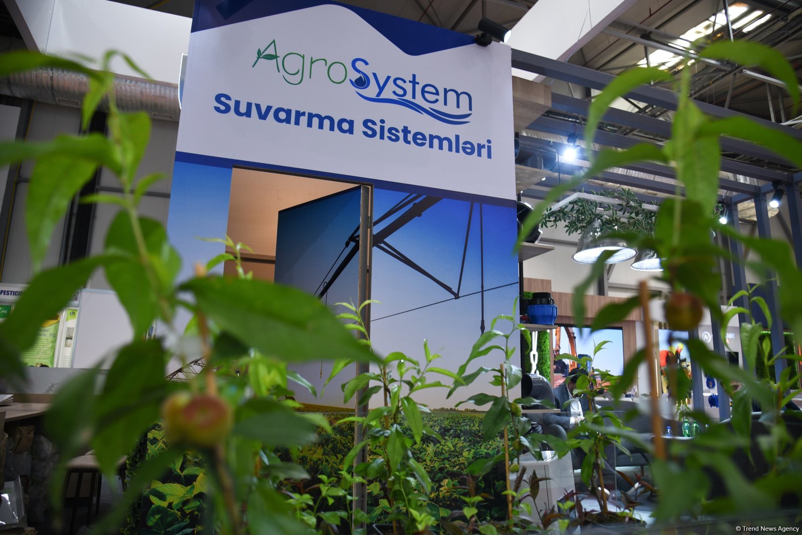 Caspian Agro and Interfood exhibitions continue in Azerbaijan's Baku (PHOTO)