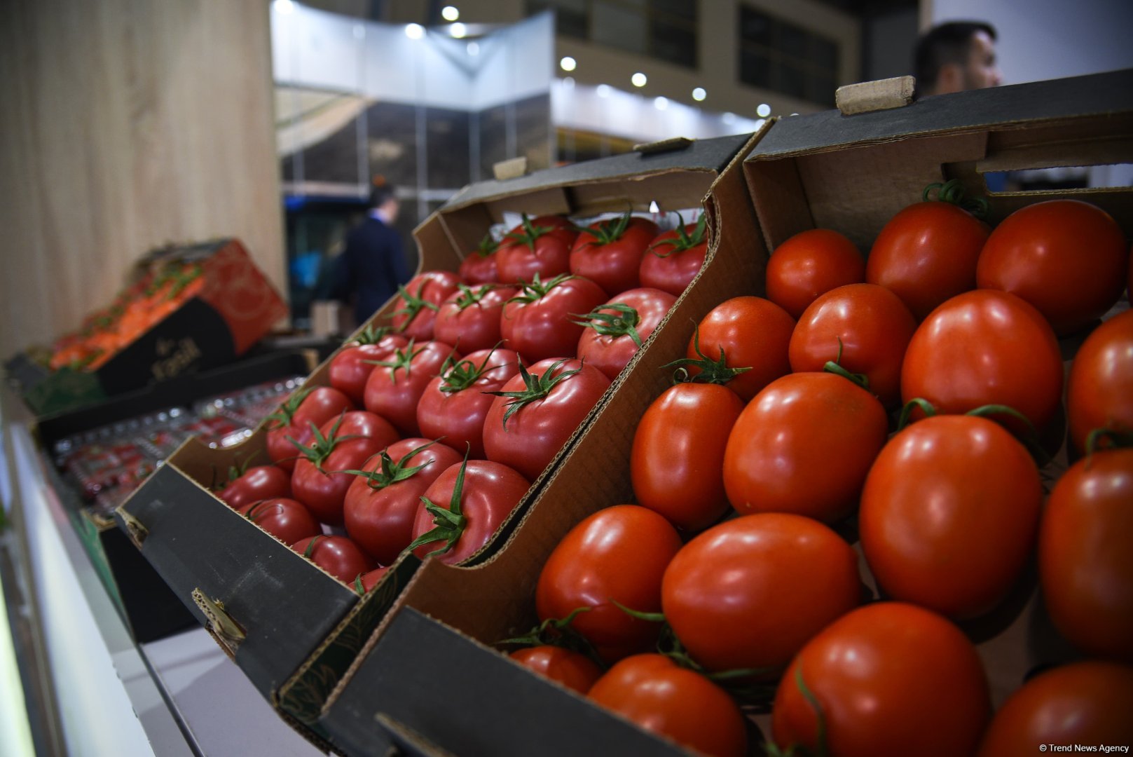 Caspian Agro and Interfood exhibitions continue in Azerbaijan's Baku (PHOTO)