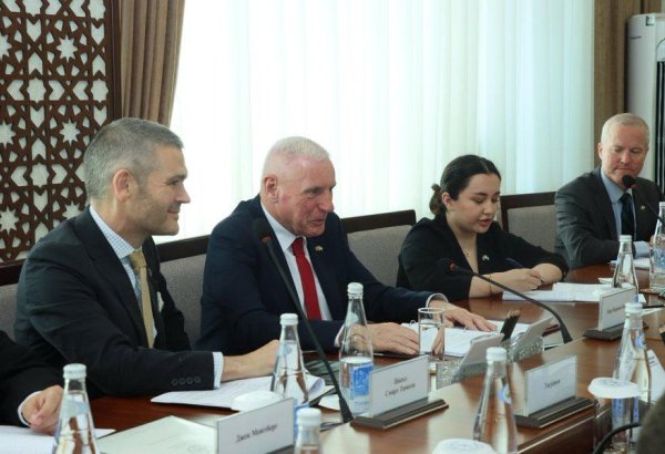 UK Defense Minister visits Uzbekistan on first Central Asia trip