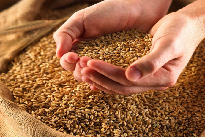 Azerbaijan's wheat import expenditures soar in 4M2025