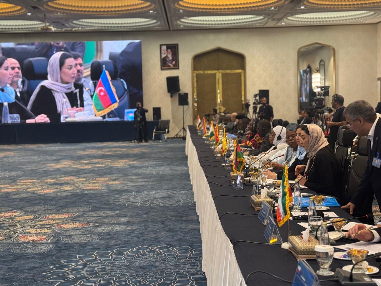 Azerbaijani ombudsperson attends OIC meeting (PHOTO)