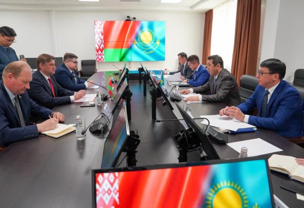Kazakhstan reports sharp rise in agricultural trade with Belarus for 2024