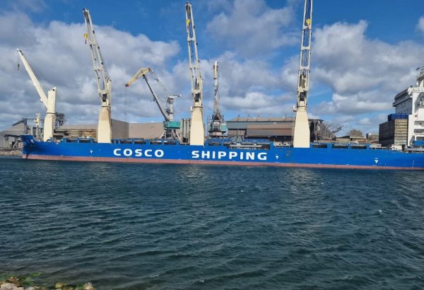 Kazakhstan diversifies grain exports, tapping new global markets