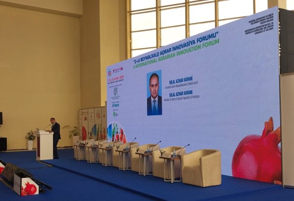 Pakistani minister hints at nation's potential for Azerbaijani businesses