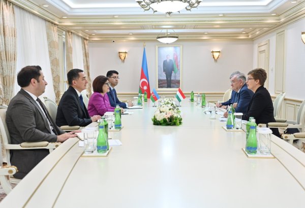 Azerbaijan, Hungary assess their close cooperation-driven strategic ties (PHOTO)