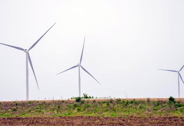 Uzbekistan launches new wind power plant backed by ACWA Power