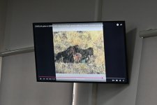 Witnesses at trial detail Armenian forces' occupation, killing of civilians in Azerbaijan (PHOTO)