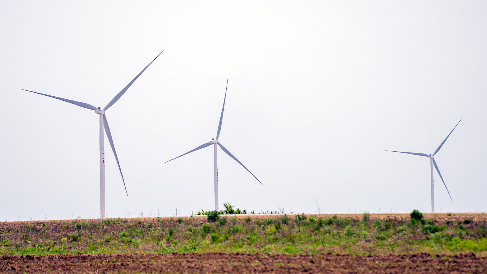 Uzbekistan launches new wind power plant backed by ACWA Power