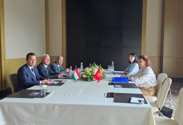 Tajik, Kyrgyz postal services partner to boost digital and logistics co-op