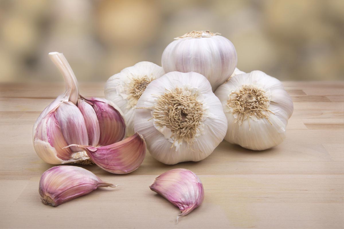 Uzbekistan’s garlic exports grow significantly in early 2025