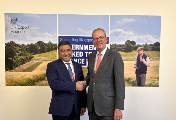 Kyrgyzstan, UK credit agency mull over co-op in agriculture and renewable energy