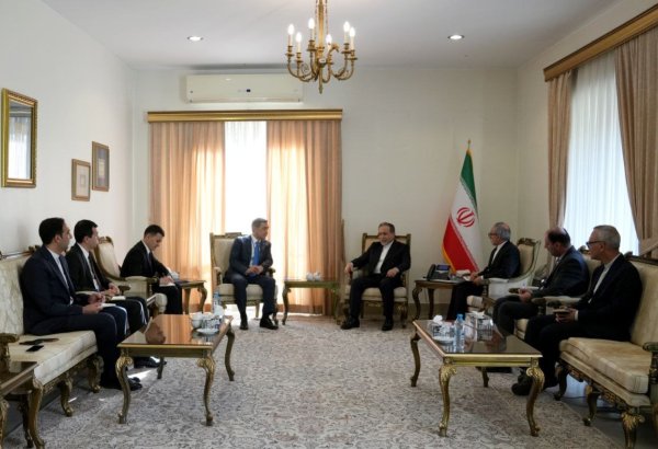 Iran supports active engagement among SCO member states - FM