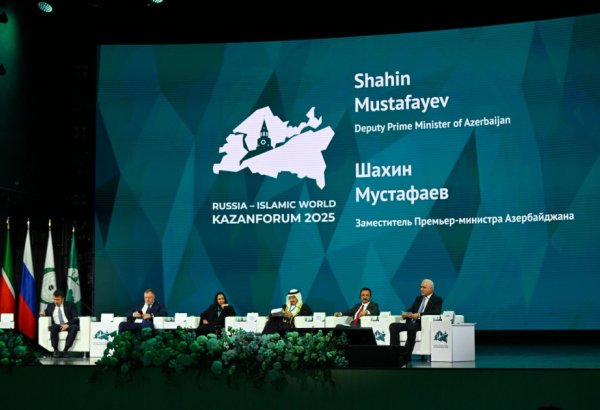 Azerbaijan participates in Int'l Economic Forum "Russia – Islamic World: KazanForum" (PHOTO)