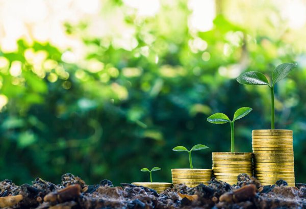 Uzbekistan’s economy strengthens on back of foreign investment inflow
