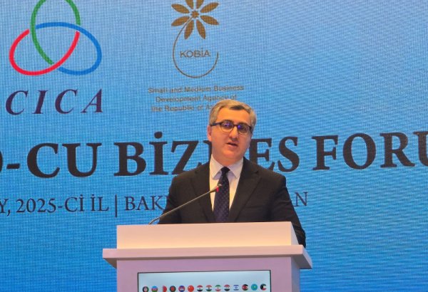Azerbaijan spotlights export performance to CICA countries