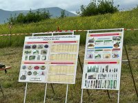 Media delegates view humanitarian demining efforts in Azerbaijan's Aghdam district (PHOTO)