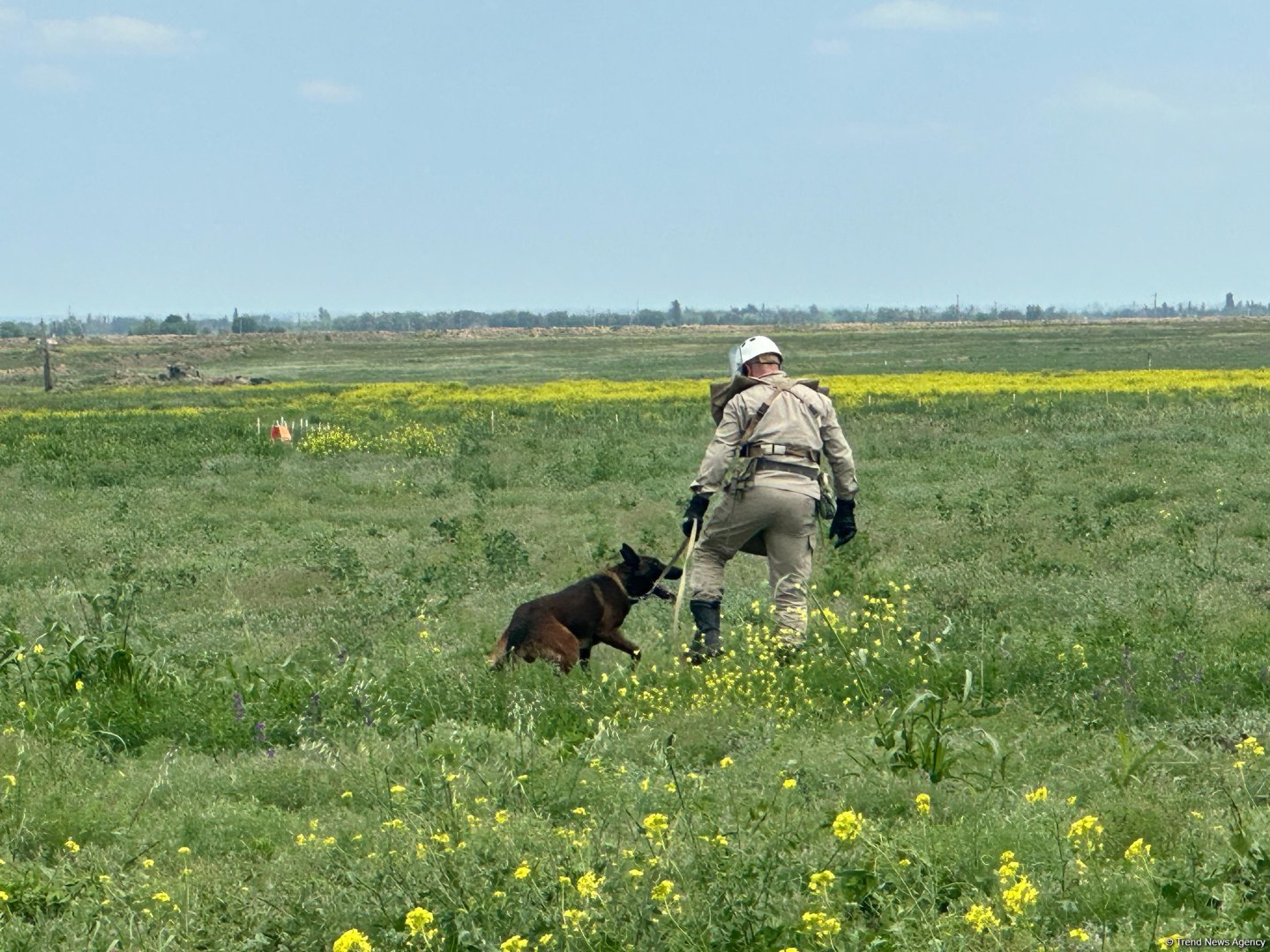 Media delegates view humanitarian demining efforts in Azerbaijan's Aghdam district (PHOTO)