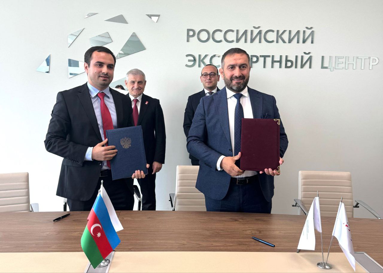 Azerbaijan’s olive grove initiative takes root in Russia's Dagestan