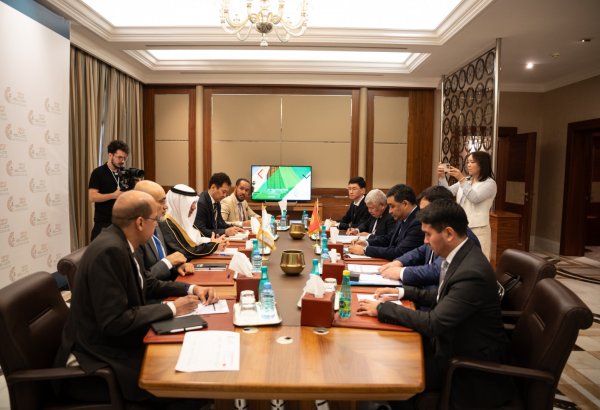 Kyrgyzstan, IsDB discuss expansion of joint project portfolio