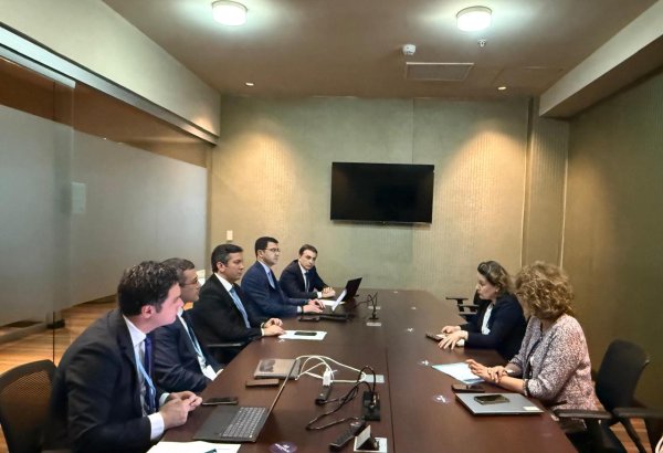 Azerbaijani delegation shares experience of hosting COP29 in Panama (PHOTO)