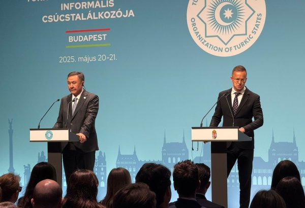 Hungary's energy supply today unimaginable without co-op with Turkic states - minister