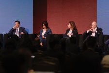 Azerbaijani delegation shares experience of hosting COP29 in Panama (PHOTO)