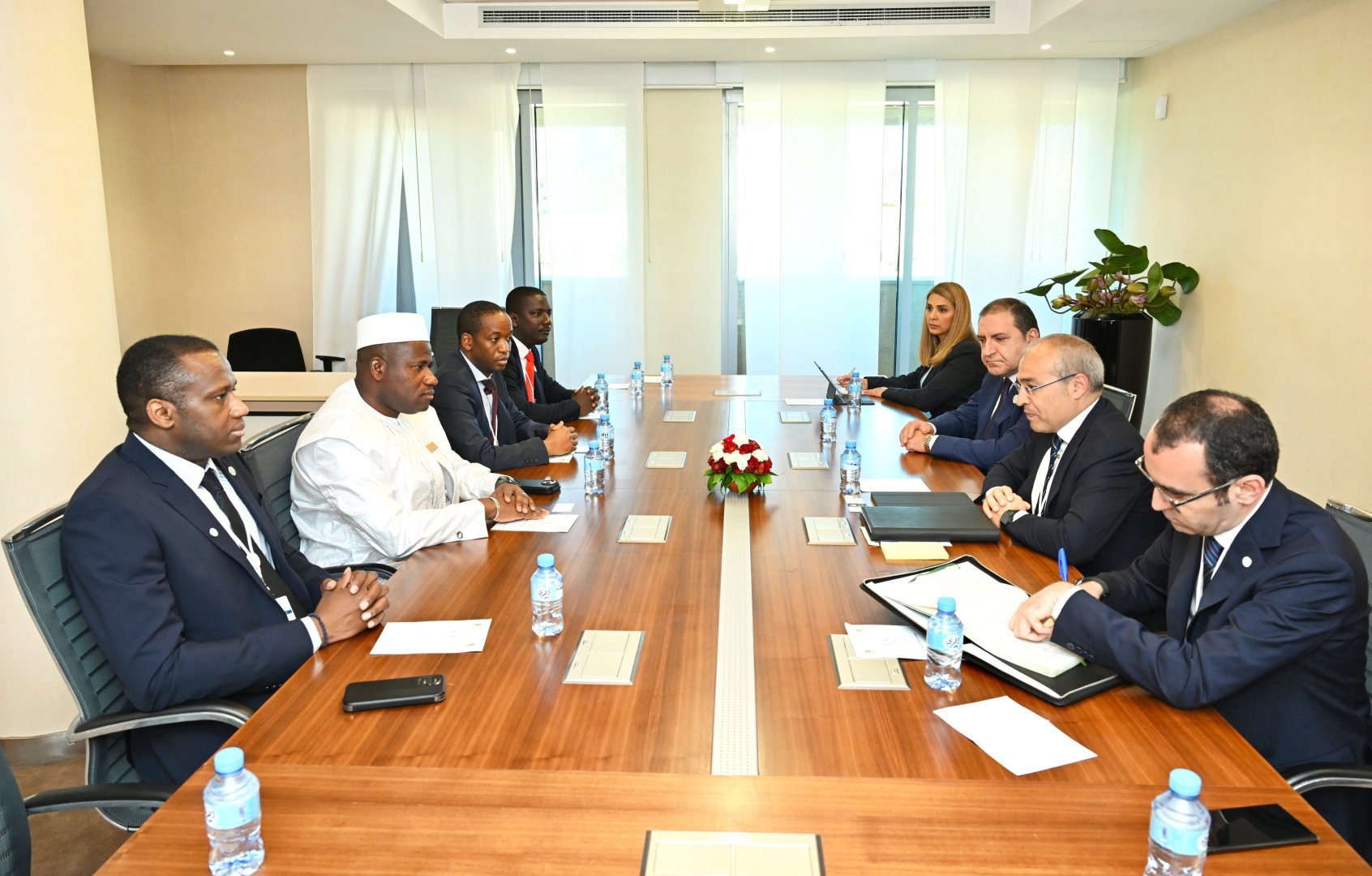 Azerbaijan, Guinea focus on investment cooperation opportunities (PHOTO)