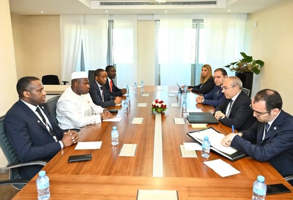 Azerbaijan, Guinea focus on investment cooperation opportunities (PHOTO)