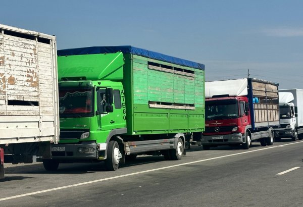 Khojaly district of Azerbaijan becomes home to yet another contingent of ex-IDP families