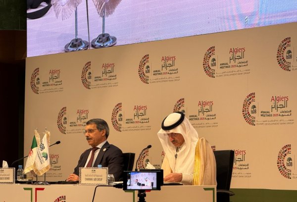 IsDB's new strategy aims to cement bank's role as reliable partner for South countries - chairperson