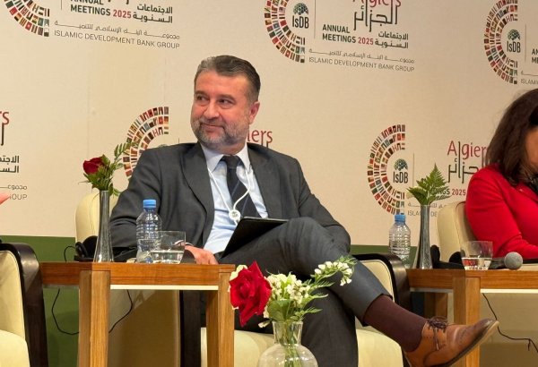 IRENA senior describes renewable energy's harmony with agriculture and health