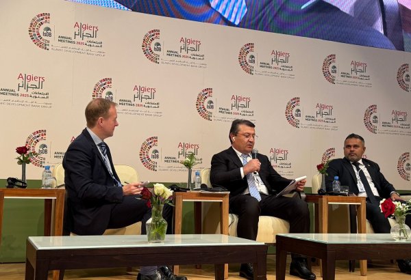 Tajik minister focuses on strategies to achieve SDGs