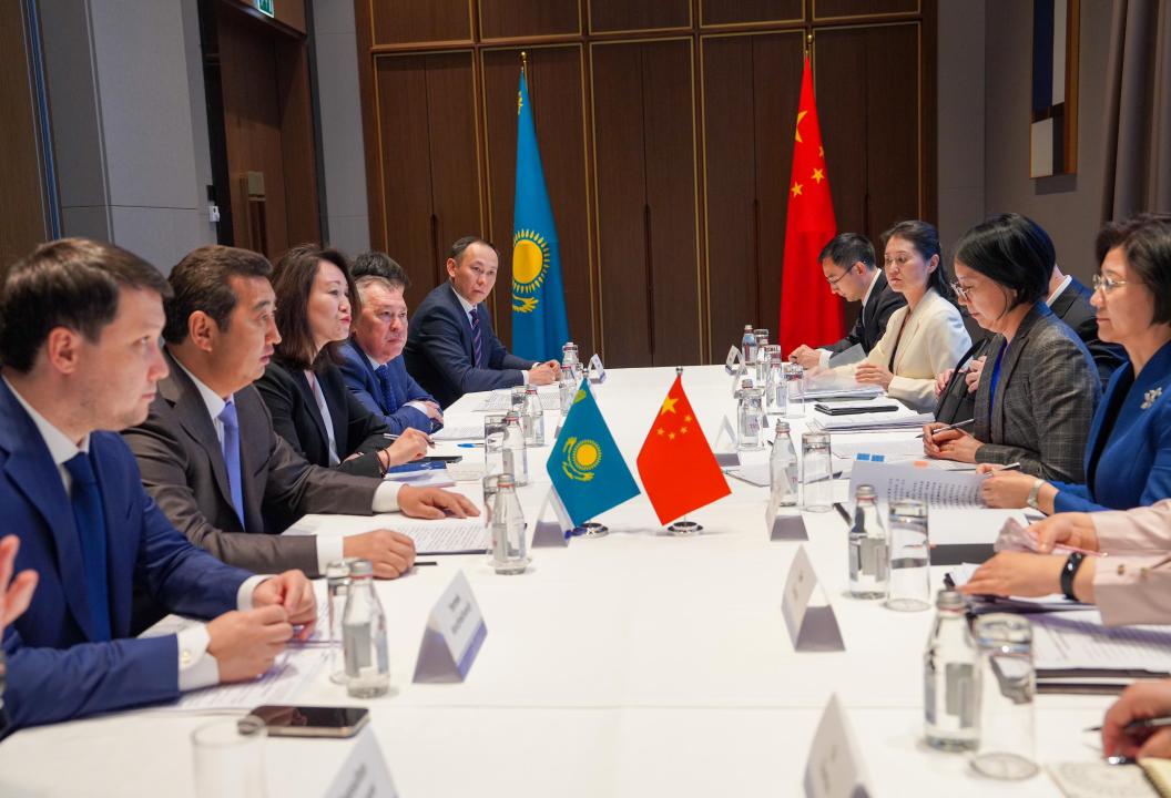 Kazakhstan bolsters agri-ties with China through expanded market access