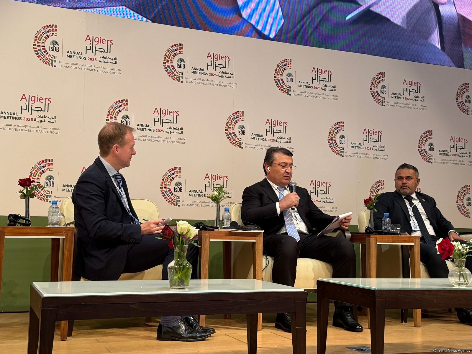 Tajik minister focuses on strategies to achieve SDGs