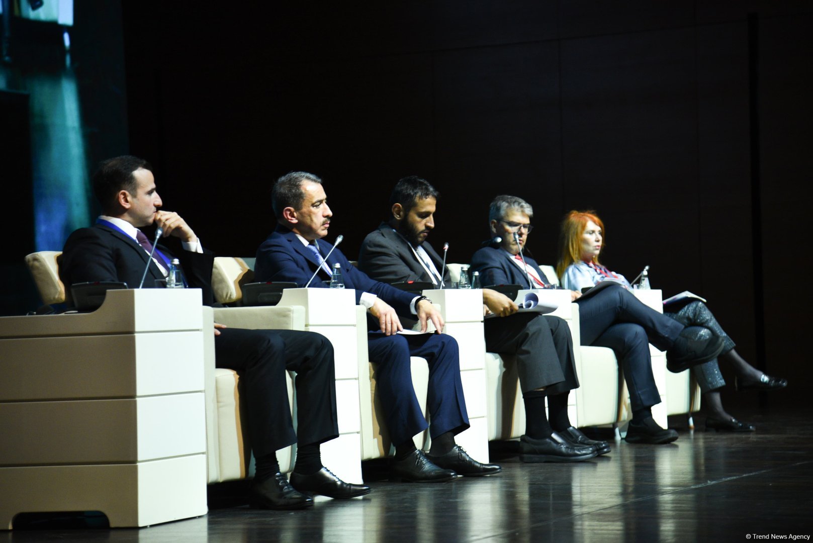 Sixth plenary meeting of GlobE Network wraps up in Baku (PHOTO)