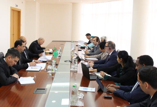 Turkmenistan, IMF set strategic course for global economic integration