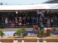 Recep Tayyip Erdogan and his spouse watch performance of Azerbaijani participants at Ethnosport and Culture Festival (PHOTO)