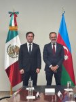 Azerbaijan, Mexico discuss cooperation to combat climate change (PHOTO)
