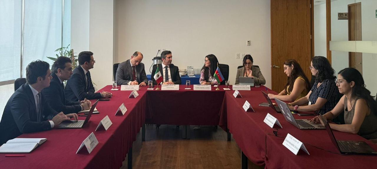 Azerbaijan, Mexico discuss cooperation to combat climate change (PHOTO)