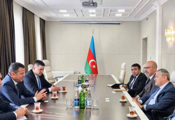 Uzbek delegation visits Azerbaijan's Karabakh (PHOTO)