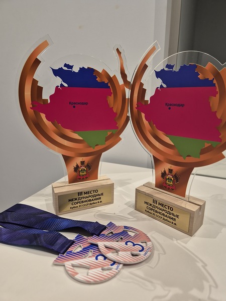 Azerbaijani gymnasts dazzle with double medal win in Russia's Krasnodar (PHOTO)