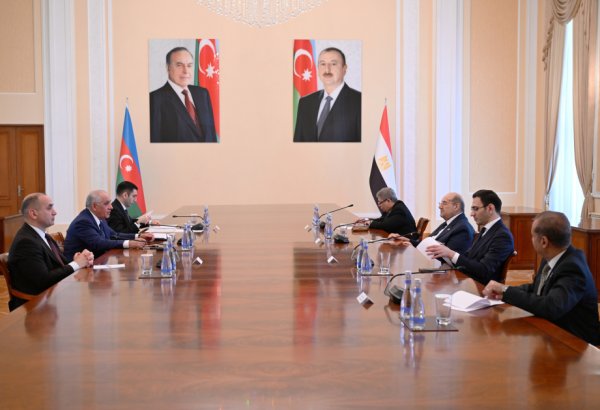 Azerbaijan and Egypt brainstorm cooperation avenues