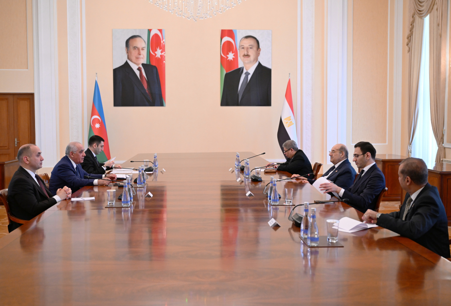 Azerbaijan and Egypt brainstorm cooperation avenues