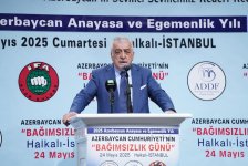 Azerbaijani diaspora marks "Year of Constitution and Sovereignty" and Independence Day in Turkish Istanbul (PHOTO)