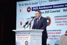 Azerbaijani diaspora marks "Year of Constitution and Sovereignty" and Independence Day in Turkish Istanbul (PHOTO)