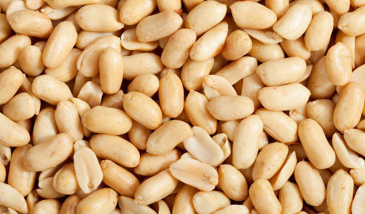 Uzbek peanuts gain traction in key regional markets in early 2025