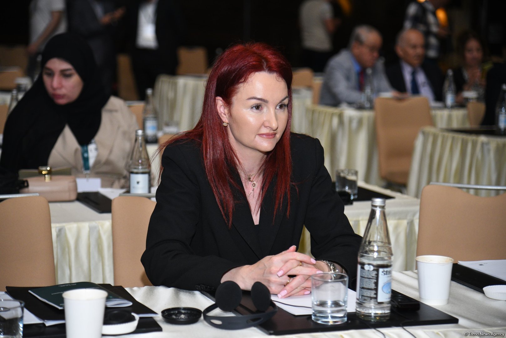 Second day of int'l conference on "Islamophobia in Focus: Unveiling Bias, Shattering Stigmas" wraps up in Baku (PHOTO)