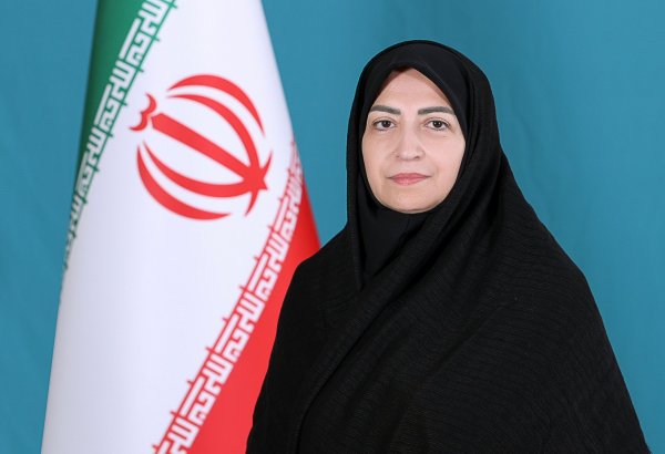 Iran announces discussions of Caspian seals' protection