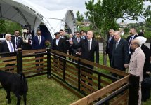 President Ilham Aliyev, President Recep Tayyip Erdoğan, PM Shehbaz Sharif visit promenade in Lachin city (PHOTO/VIDEO)