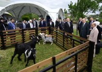 President Ilham Aliyev, President Recep Tayyip Erdoğan, PM Shehbaz Sharif visit promenade in Lachin city (PHOTO/VIDEO)